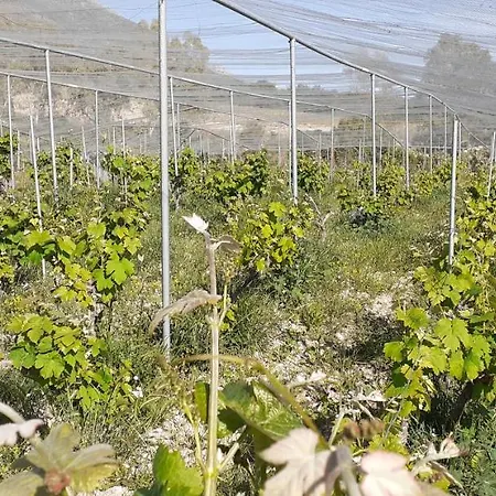 Vilă Liocharis Akro 1