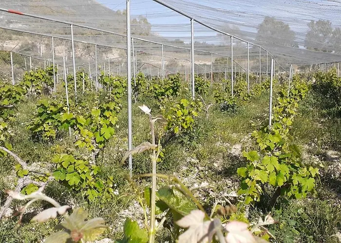 וילה Liocharis Akro 1