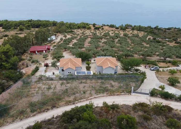 Liocharis Akro 1 * לואורדטה